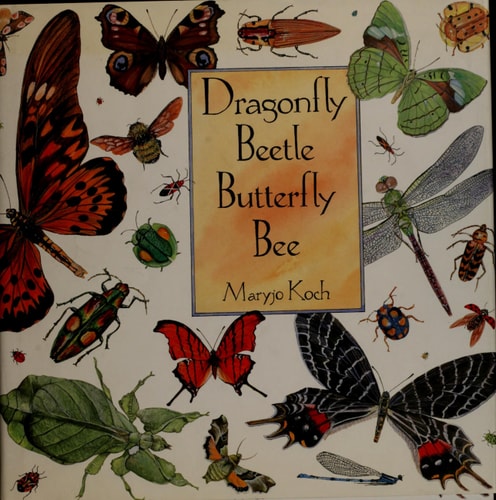 Dragonfly Beetle Butterfly Bee