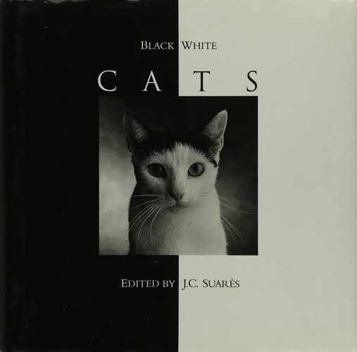 Black & White Cats