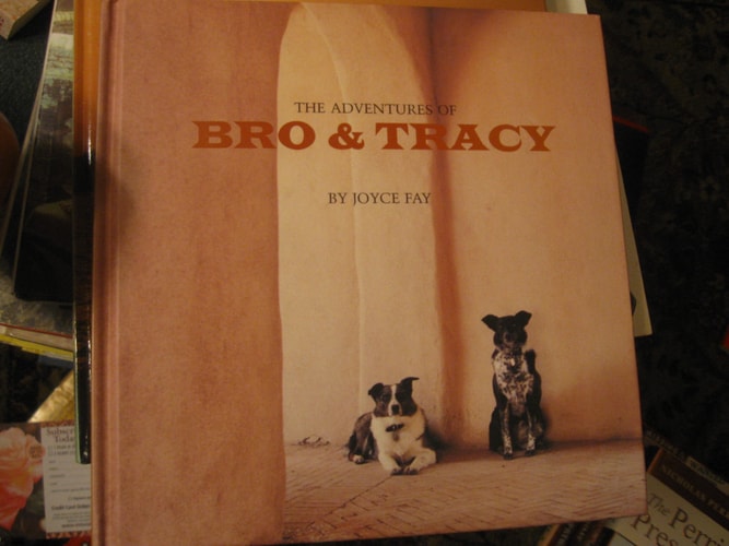 The Adventures of Bro and Tracy