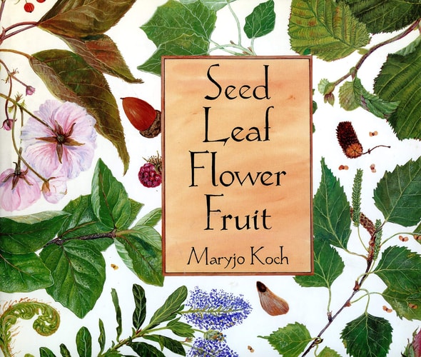 Seed Leaf Flower Fruit