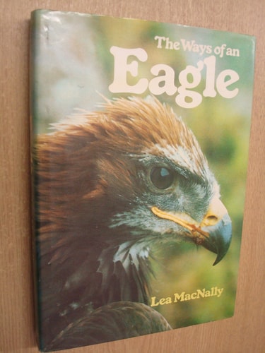 The ways of an eagle