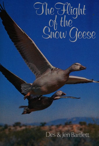 The Flight of the Snow Geese