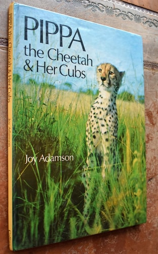Pippa: The Cheetah and Her Cubs