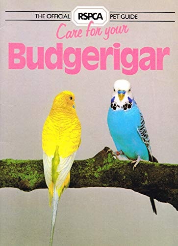 Care for Your Budgerigar