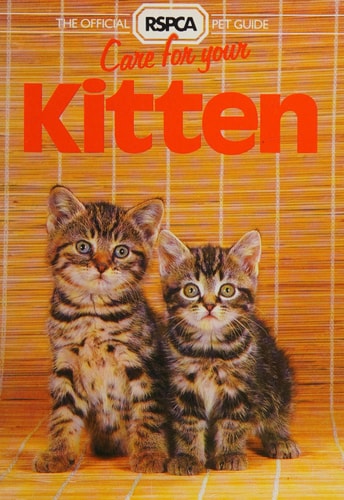 Care for Your Kitten
