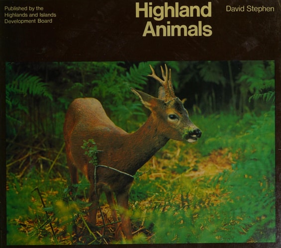 Highland Animals