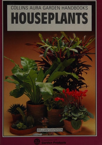 House Plants