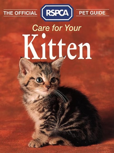 Care for Your Kitten