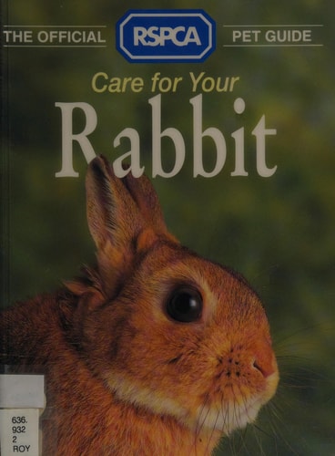 Care for Your Rabbit