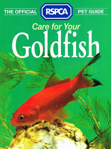 Care for Your Goldfish