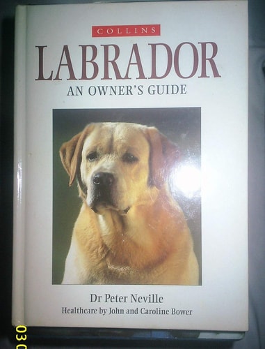 Collins Dog Owner's Guide: Labrador