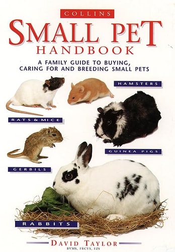 The Small Pet