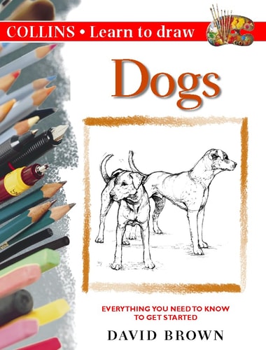 Dogs (Learn to Draw)