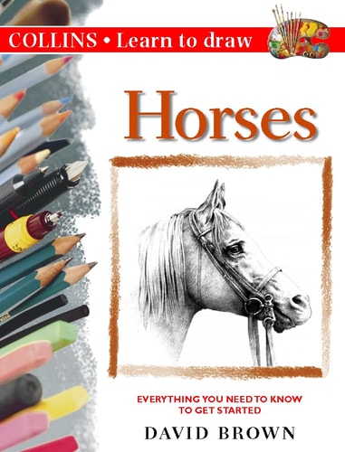 Horses (Learn to Draw)