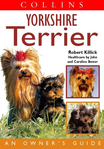 Yorkshire Terrier: An Owner's Guide
