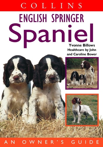 Collins English Springer Spaniel: An Owner's Guide