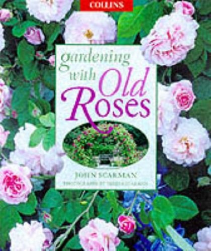 Gardening with Old Roses