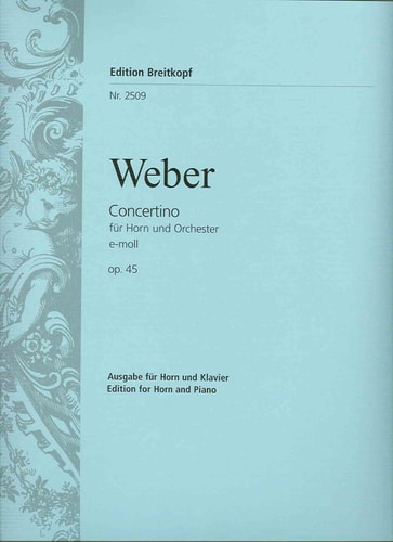 Concertino in E Minor, Op. 45