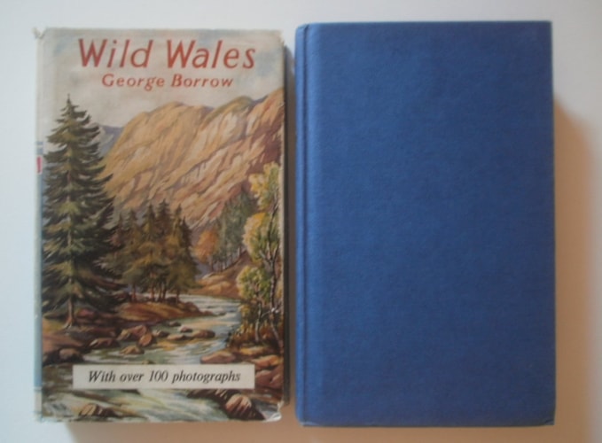 Wild Wales