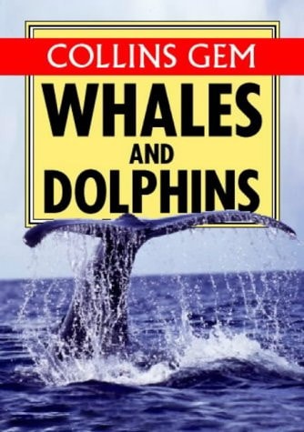 Whales & Dolphins