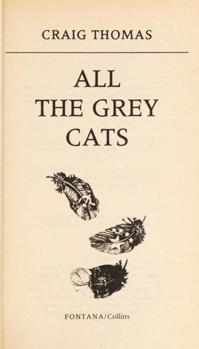 ALL THE GREY CATS
