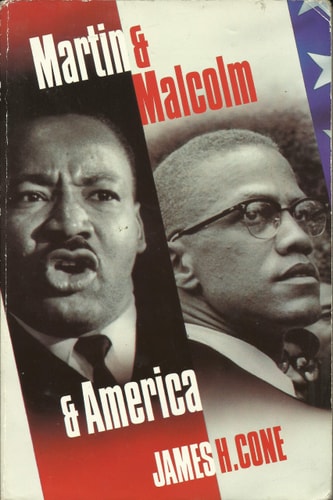 Martin and Malcolm and America
