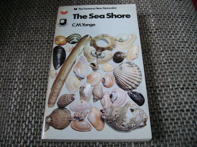 The Sea Shore