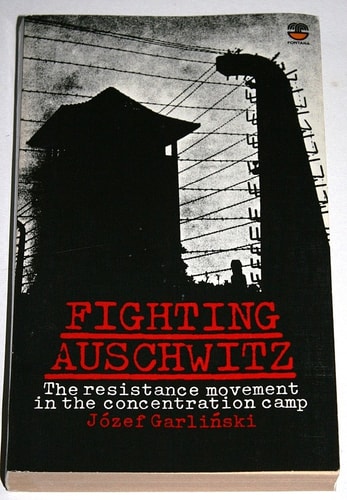 Fighting Auschwitz: The Resistance Movement in the Concentration Camp