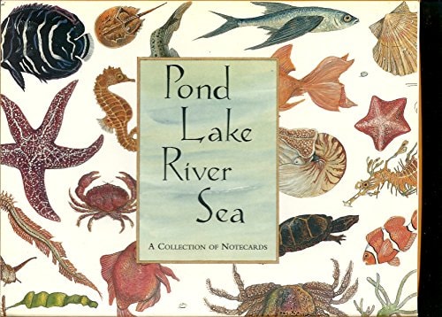 Pond Lake River Sea: A Collection of Notecards