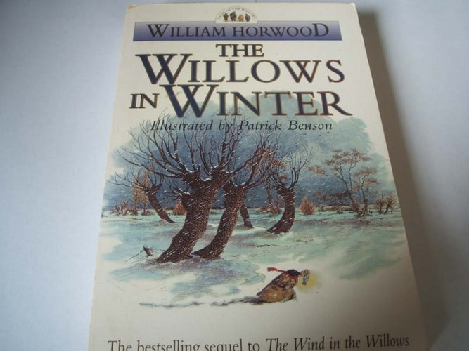 The Willows in Winter