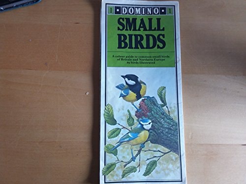 Small Birds