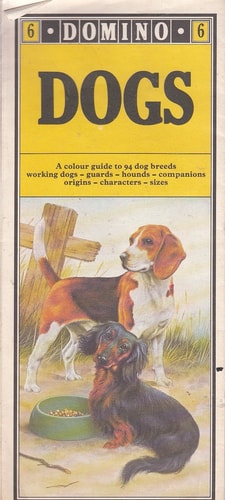 Dogs