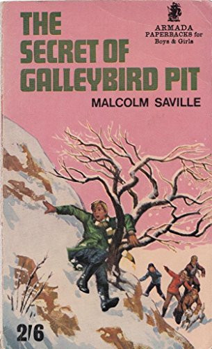 The secret of Galleybird Pit