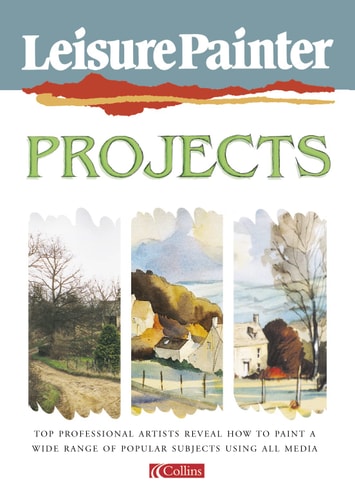 Leisure Painter Projects