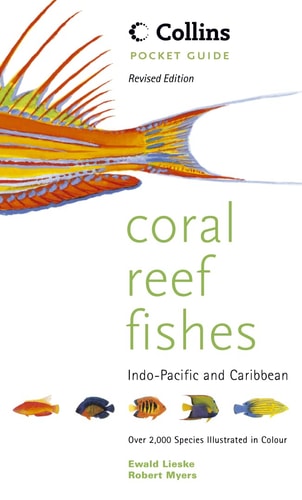 Collins Pocket Guide: Coral Reef Fishes