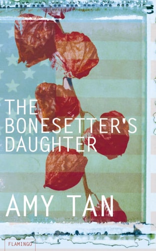The Bonesetter's Daughter