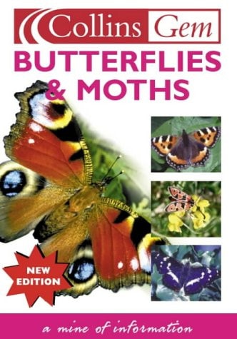 Butterflies and Moths