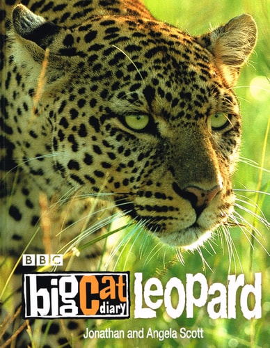 Big Cat Diary: Leopard