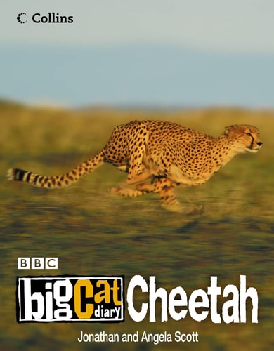Cheetah: Big Cat Diary