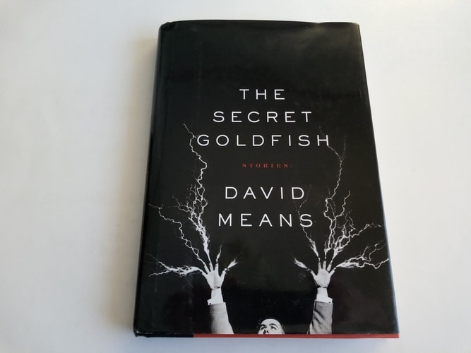 The Secret Goldfish: Stories