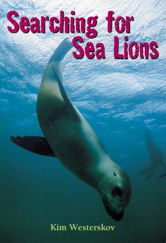 Searching for sea lions