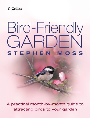 Bird-Friendly Garden: A Practical Month-by-Month Guide to Attracting Birds to Your Garden