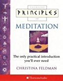 Meditation: The Only Introduction You'll Ever Need