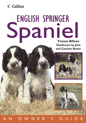 English Springer Spaniel: An Owner's Guide
