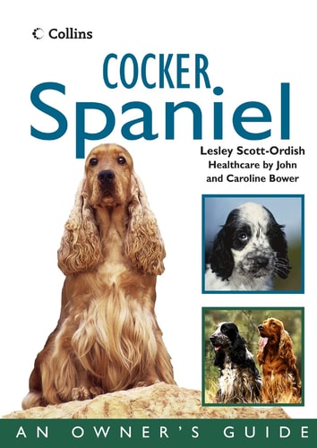 Cocker Spaniel