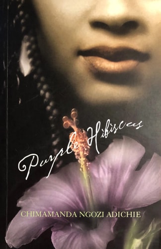 Purple Hibiscus