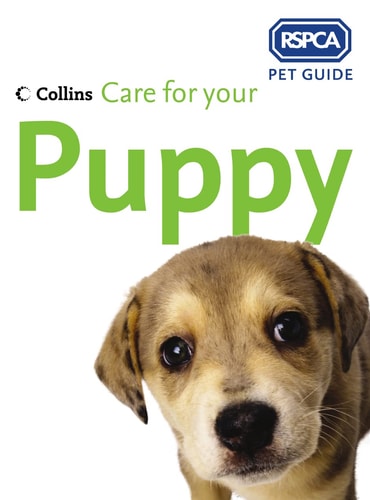 Care for Your Puppy