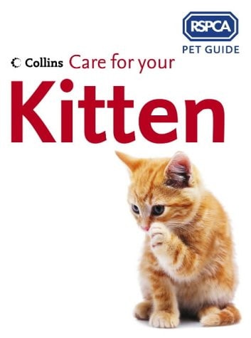 Care for Your Kitten