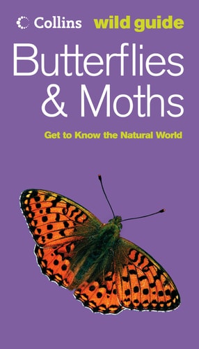 Butterflies & Moths