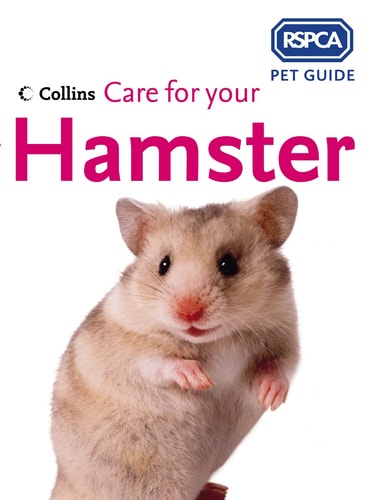 Care for Your Hamster: RSPCA Pet Guide